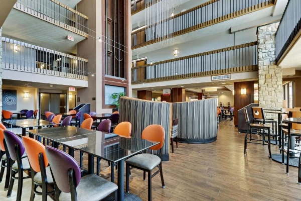 Drury Plaza Hotel San Antonio Airport image 11